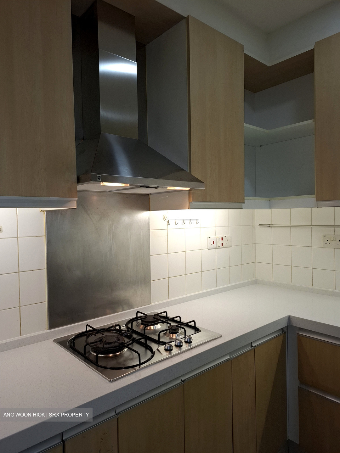 Edelweiss Park Condominium (D17), Condominium #582924761